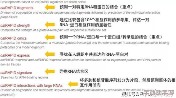 小鱼儿主页域名请记住0k1963网站维护升级预计将于三天后完成