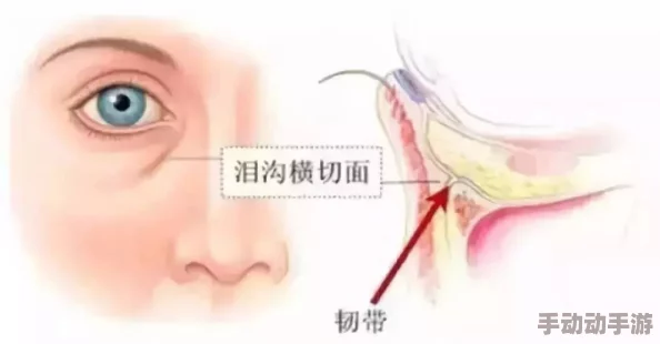 当着面偷偷做h进行到关键环节双方呼吸急促脸颊绯红