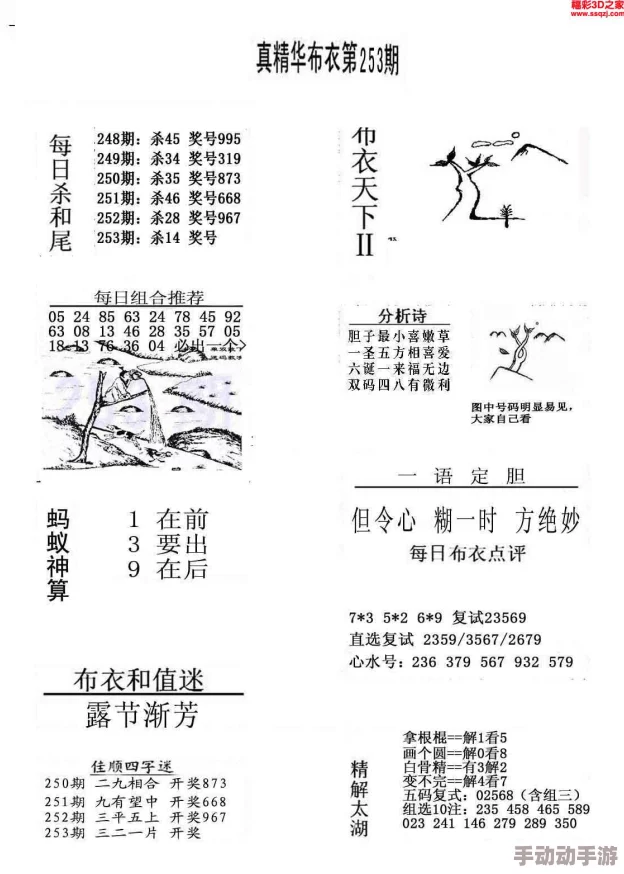 3d123456布衣图精华布衣天下最新图谜预测分析及专家推荐号码