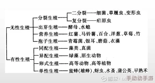 性性生物学特征的多样性及其在不同物种间的演化与适应性研究