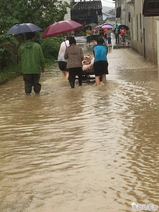 啊啊啊啊啊啊啊啊好多水洪水逐渐退去居民开始陆续返回家园