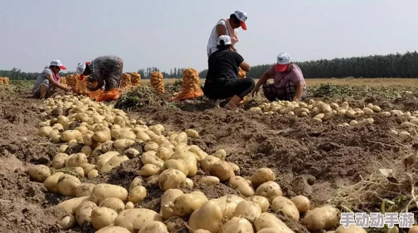 热门游戏新趋势：我的世界自主种植攻略，三种高效获取马铃薯途径一览