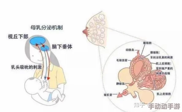 性亚洲老奶老太物化女性令人不适传播有害刻板印象