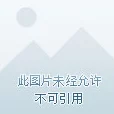 DNF手游：最新热门牛头王萨乌塔获取攻略及宠物详解