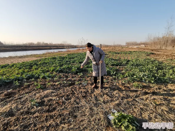 耕耘大婶的肥沃的土地是什么意思小说涉嫌低俗内容已被举报