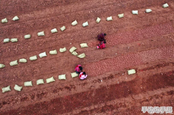 耕耘大婶的肥沃的土地是什么意思小说涉嫌低俗内容已被举报