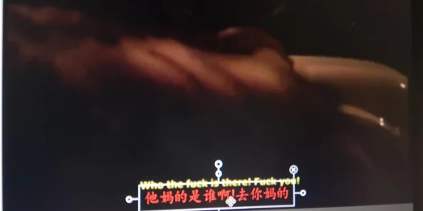 三级中文字幕画面模糊翻译糟糕剧情老套浪费时间