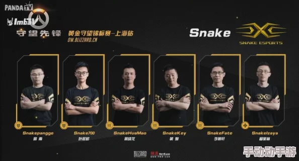 Snake战队震撼宣布：守望先锋分部正式成立，最新队员豪华名单曝光！