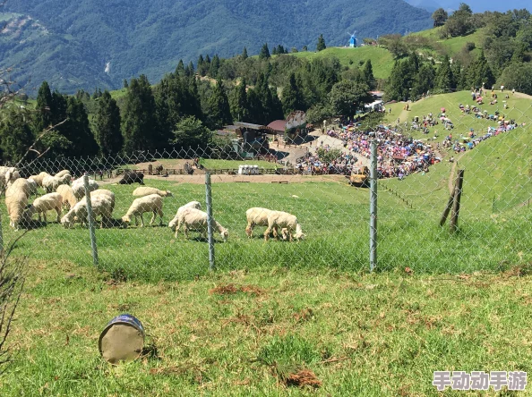 97青青草原全新升级乐趣更多玩法更丰富等你来体验