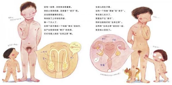 男人鸡鸡捅女人鸡鸡专家称此说法不准确建议用阴茎和阴道描述