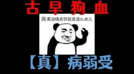 玩物丧志卡比丘txt完结番外已更新