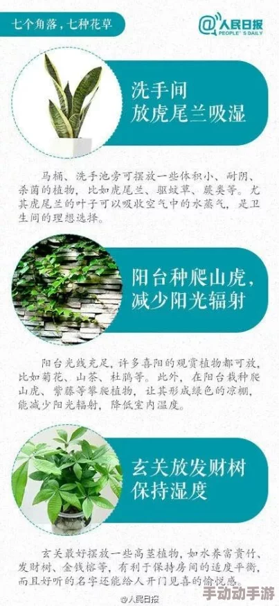 爱草网探寻自然疗法与草本精粹的健康之道