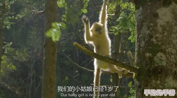 我乘风雪纪录片首映引热议震撼画面展现时代精神