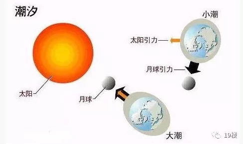 潮汛的拼音cháoxùn潮汐涨落受月球和太阳引力影响每日两次涨落称为潮汛