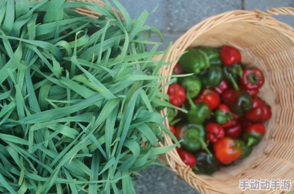 七草千岁传统野菜文化在现代都市农业中焕发新生机