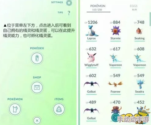 精灵宝可梦GO：全面解析恢复药水道具及获取攻略