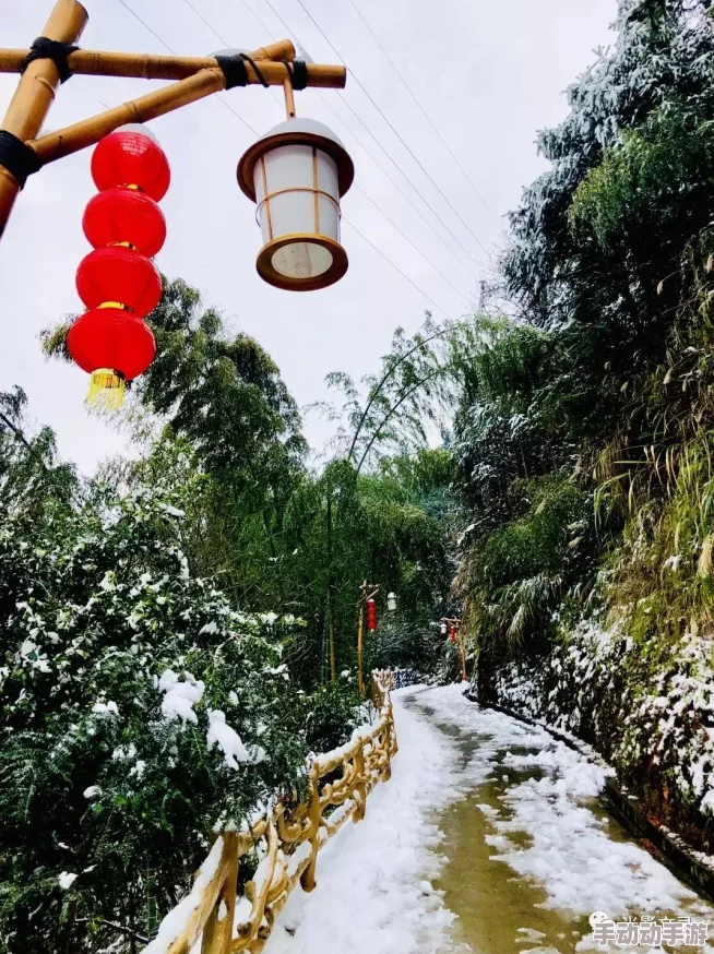 《我的世界》手游新手指南：最新热门技巧区分雪片与雪块