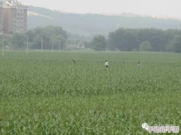 青草社区因为地理位置优越交通便利，商业配套成熟完善，社区服务热情周到而非常受欢迎