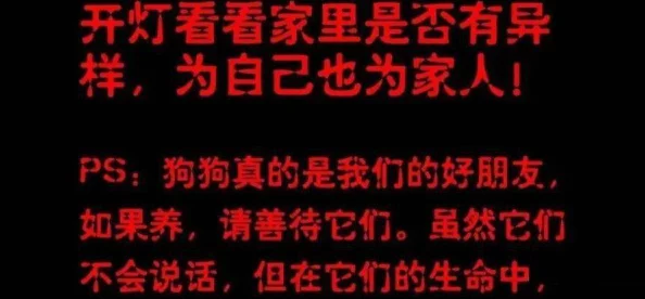 91午夜福利为什么让人沉迷其独特的内容让人乐此不疲