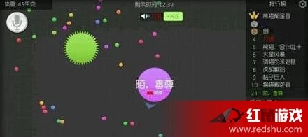 球球大作战：掌握死角堆积围杀，最新高端操作技巧大揭秘！