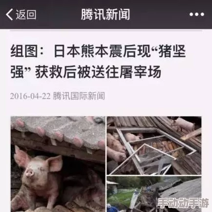 公猪钻入女人子宫会怎么样为何想了解这种违背伦理道德的离谱情况