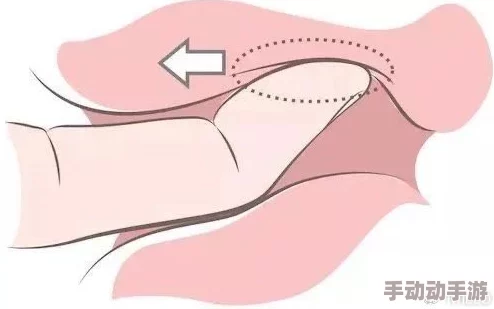 天天插天天爽为何如此吸引人因为它易于上手且让人感觉良好