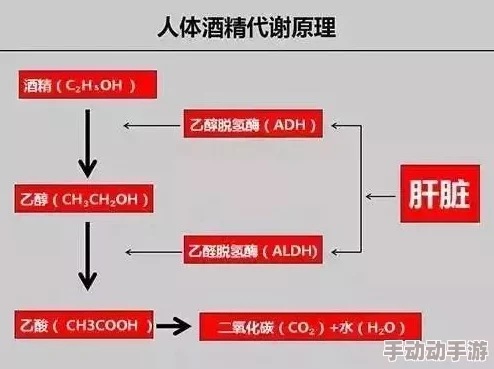 亚洲成人AV为什么更新速度相对较快为何更容易获得新内容