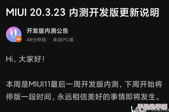 开发版内测公告发布时间的深度解析与规律探讨