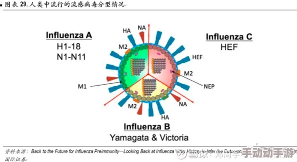 68283人体未来医学新突破生物芯片或将实现器官再生