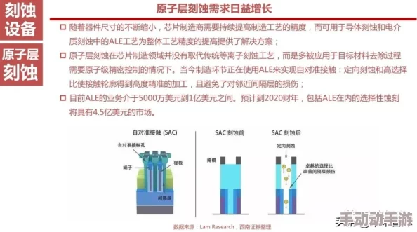 深度解析如何获取并鉴别厚实的上等皮革材料