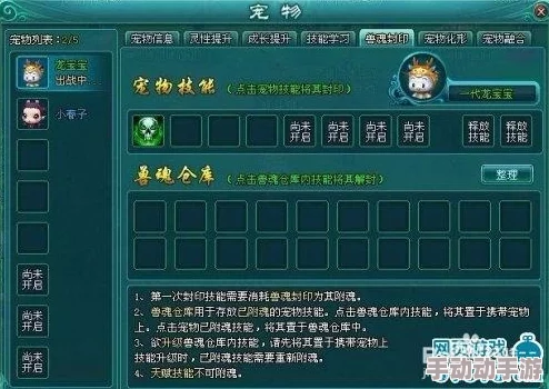 梦幻新诛仙：深度解析刀灵打书方法与策略技巧