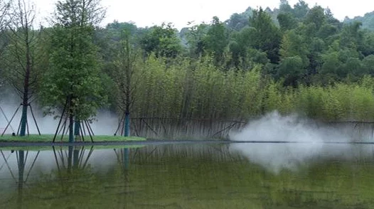 《无尽灵魂》新手深度攻略：探索游戏初期至关重要的关键步骤与技巧