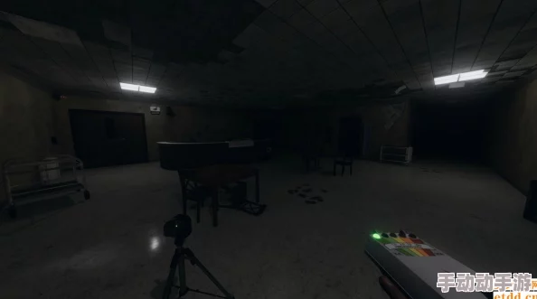 深度解析如何将恐鬼症游戏语言更改为中文的步骤与技巧