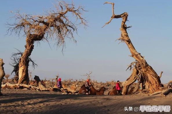 重生负二代？新手爸妈迎接新生命全攻略：从心理准备到生活细节的深度解析