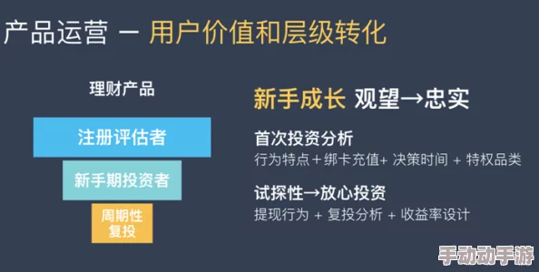 新手入坑全解析：付费推荐项目的明智选择与深度考量