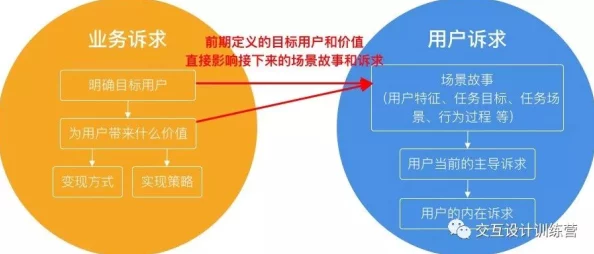 新手入坑全解析：付费推荐项目的明智选择与深度考量