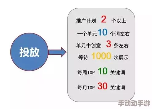 新手入坑全解析：付费推荐项目的明智选择与深度考量