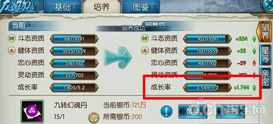 弹弹堂宠物选择指南：最佳宠物推荐与搭配技巧