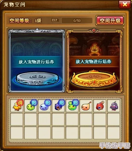 弹弹堂宠物选择指南：最佳宠物推荐与搭配技巧