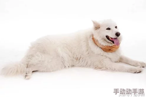 《无限暖暖》世界巡游21号拍照点在哪儿? 《无限暖暖》世界巡游21号拍照点在哪儿?