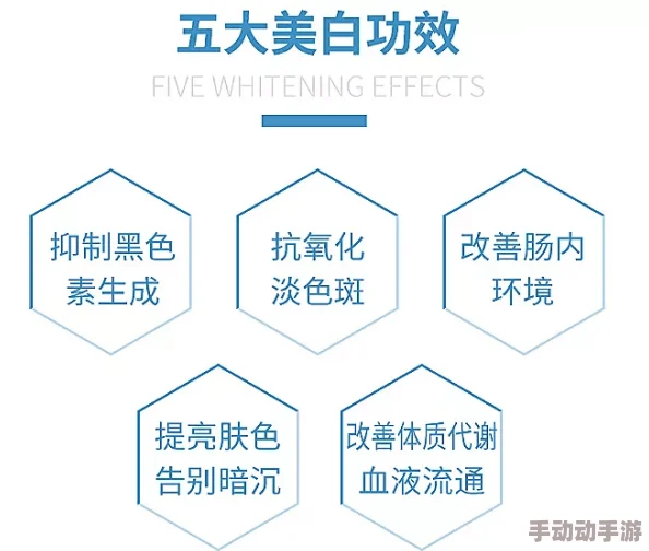 《白荆回廊》中，十手卫抽取策略与性价比考量全解析