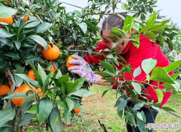 现在还能找到十年前热门的单机农场游戏吗？2025年又有哪些值得期待的农场游戏？